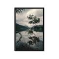 Picture of Tree Reflection _GroupedProduct_Rectangle_Portrait_Photography _GroupedProduct_Rectangle_Portrait_Framed_Matted_