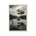 Picture of Tree Reflection _GroupedProduct_Rectangle_Portrait_Photography _GroupedProduct_Rectangle_Portrait_Framed_Matted_