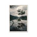 Picture of Tree Reflection _GroupedProduct_Rectangle_Portrait_Photography _GroupedProduct_Rectangle_Portrait_Framed_Matted_