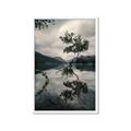 Picture of Tree Reflection _GroupedProduct_Rectangle_Portrait_Photography _GroupedProduct_Rectangle_Portrait_Framed_Matted_