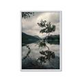 Picture of Tree Reflection _GroupedProduct_Rectangle_Portrait_Photography _GroupedProduct_Rectangle_Portrait_Framed_Matted_