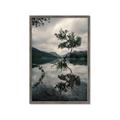 Picture of Tree Reflection _GroupedProduct_Rectangle_Portrait_Photography _GroupedProduct_Rectangle_Portrait_Framed_Matted_