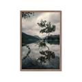 Picture of Tree Reflection _GroupedProduct_Rectangle_Portrait_Photography _GroupedProduct_Rectangle_Portrait_Framed_Matted_