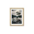 Picture of Tree Reflection _GroupedProduct_Rectangle_Portrait_Photography _GroupedProduct_Rectangle_Portrait_Framed_Matted_