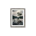 Picture of Tree Reflection _GroupedProduct_Rectangle_Portrait_Photography _GroupedProduct_Rectangle_Portrait_Framed_Matted_