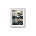 Picture of Tree Reflection _GroupedProduct_Rectangle_Portrait_Photography _GroupedProduct_Rectangle_Portrait_Framed_Matted_