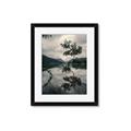 Picture of Tree Reflection _GroupedProduct_Rectangle_Portrait_Photography _GroupedProduct_Rectangle_Portrait_Framed_Matted_