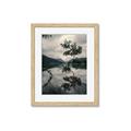 Picture of Tree Reflection _GroupedProduct_Rectangle_Portrait_Photography _GroupedProduct_Rectangle_Portrait_Framed_Matted_
