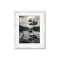 Picture of Tree Reflection _GroupedProduct_Rectangle_Portrait_Photography _GroupedProduct_Rectangle_Portrait_Framed_Matted_