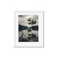 Picture of Tree Reflection _GroupedProduct_Rectangle_Portrait_Photography _GroupedProduct_Rectangle_Portrait_Framed_Matted_