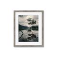 Picture of Tree Reflection _GroupedProduct_Rectangle_Portrait_Photography _GroupedProduct_Rectangle_Portrait_Framed_Matted_