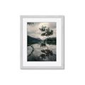 Picture of Tree Reflection _GroupedProduct_Rectangle_Portrait_Photography _GroupedProduct_Rectangle_Portrait_Framed_Matted_