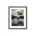 Picture of Tree Reflection _GroupedProduct_Rectangle_Portrait_Photography _GroupedProduct_Rectangle_Portrait_Framed_Matted_
