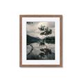 Picture of Tree Reflection _GroupedProduct_Rectangle_Portrait_Photography _GroupedProduct_Rectangle_Portrait_Framed_Matted_