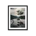 Picture of Tree Reflection _GroupedProduct_Rectangle_Portrait_Photography _GroupedProduct_Rectangle_Portrait_Framed_Matted_