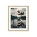Picture of Tree Reflection _GroupedProduct_Rectangle_Portrait_Photography _GroupedProduct_Rectangle_Portrait_Framed_Matted_