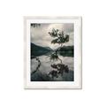 Picture of Tree Reflection _GroupedProduct_Rectangle_Portrait_Photography _GroupedProduct_Rectangle_Portrait_Framed_Matted_