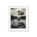 Picture of Tree Reflection _GroupedProduct_Rectangle_Portrait_Photography _GroupedProduct_Rectangle_Portrait_Framed_Matted_
