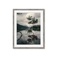 Picture of Tree Reflection _GroupedProduct_Rectangle_Portrait_Photography _GroupedProduct_Rectangle_Portrait_Framed_Matted_
