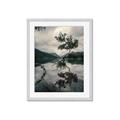 Picture of Tree Reflection _GroupedProduct_Rectangle_Portrait_Photography _GroupedProduct_Rectangle_Portrait_Framed_Matted_