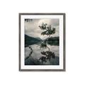 Picture of Tree Reflection _GroupedProduct_Rectangle_Portrait_Photography _GroupedProduct_Rectangle_Portrait_Framed_Matted_