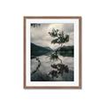 Picture of Tree Reflection _GroupedProduct_Rectangle_Portrait_Photography _GroupedProduct_Rectangle_Portrait_Framed_Matted_