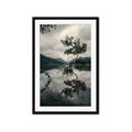Picture of Tree Reflection _GroupedProduct_Rectangle_Portrait_Photography _GroupedProduct_Rectangle_Portrait_Framed_Matted_