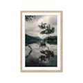 Picture of Tree Reflection _GroupedProduct_Rectangle_Portrait_Photography _GroupedProduct_Rectangle_Portrait_Framed_Matted_