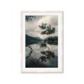 Picture of Tree Reflection _GroupedProduct_Rectangle_Portrait_Photography _GroupedProduct_Rectangle_Portrait_Framed_Matted_