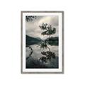 Picture of Tree Reflection _GroupedProduct_Rectangle_Portrait_Photography _GroupedProduct_Rectangle_Portrait_Framed_Matted_