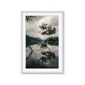 Picture of Tree Reflection _GroupedProduct_Rectangle_Portrait_Photography _GroupedProduct_Rectangle_Portrait_Framed_Matted_