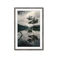 Picture of Tree Reflection _GroupedProduct_Rectangle_Portrait_Photography _GroupedProduct_Rectangle_Portrait_Framed_Matted_