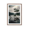 Picture of Tree Reflection _GroupedProduct_Rectangle_Portrait_Photography _GroupedProduct_Rectangle_Portrait_Framed_Matted_