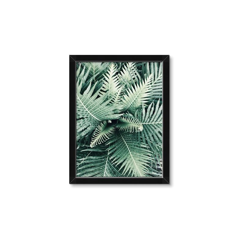 Picture of Green Ferns _GroupedProduct_Rectangle_Portrait_Photography _GroupedProduct_Rectangle_Portrait_Framed_Matted_
