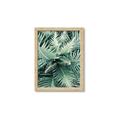 Picture of Green Ferns _GroupedProduct_Rectangle_Portrait_Photography _GroupedProduct_Rectangle_Portrait_Framed_Matted_