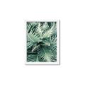 Picture of Green Ferns _GroupedProduct_Rectangle_Portrait_Photography _GroupedProduct_Rectangle_Portrait_Framed_Matted_