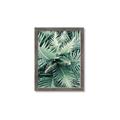Picture of Green Ferns _GroupedProduct_Rectangle_Portrait_Photography _GroupedProduct_Rectangle_Portrait_Framed_Matted_