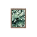Picture of Green Ferns _GroupedProduct_Rectangle_Portrait_Photography _GroupedProduct_Rectangle_Portrait_Framed_Matted_