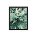 Picture of Green Ferns _GroupedProduct_Rectangle_Portrait_Photography _GroupedProduct_Rectangle_Portrait_Framed_Matted_