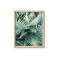 Picture of Green Ferns _GroupedProduct_Rectangle_Portrait_Photography _GroupedProduct_Rectangle_Portrait_Framed_Matted_