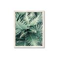 Picture of Green Ferns _GroupedProduct_Rectangle_Portrait_Photography _GroupedProduct_Rectangle_Portrait_Framed_Matted_