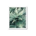 Picture of Green Ferns _GroupedProduct_Rectangle_Portrait_Photography _GroupedProduct_Rectangle_Portrait_Framed_Matted_