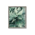 Picture of Green Ferns _GroupedProduct_Rectangle_Portrait_Photography _GroupedProduct_Rectangle_Portrait_Framed_Matted_