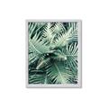 Picture of Green Ferns _GroupedProduct_Rectangle_Portrait_Photography _GroupedProduct_Rectangle_Portrait_Framed_Matted_