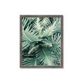 Picture of Green Ferns _GroupedProduct_Rectangle_Portrait_Photography _GroupedProduct_Rectangle_Portrait_Framed_Matted_