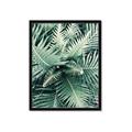 Picture of Green Ferns _GroupedProduct_Rectangle_Portrait_Photography _GroupedProduct_Rectangle_Portrait_Framed_Matted_