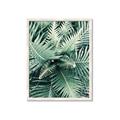 Picture of Green Ferns _GroupedProduct_Rectangle_Portrait_Photography _GroupedProduct_Rectangle_Portrait_Framed_Matted_
