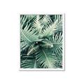 Picture of Green Ferns _GroupedProduct_Rectangle_Portrait_Photography _GroupedProduct_Rectangle_Portrait_Framed_Matted_