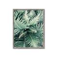 Picture of Green Ferns _GroupedProduct_Rectangle_Portrait_Photography _GroupedProduct_Rectangle_Portrait_Framed_Matted_