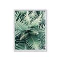 Picture of Green Ferns _GroupedProduct_Rectangle_Portrait_Photography _GroupedProduct_Rectangle_Portrait_Framed_Matted_